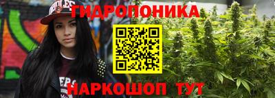скорость Канаш