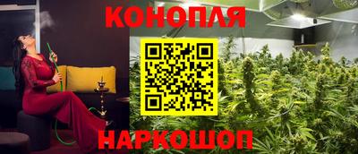 дживик Кандалакша