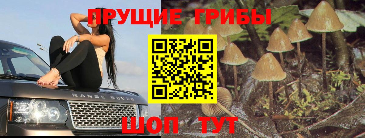 где найти наркотики  Вход с VPN  Комсомольск-на-Амуре  Псилоцибиновые грибы Psilocybe 