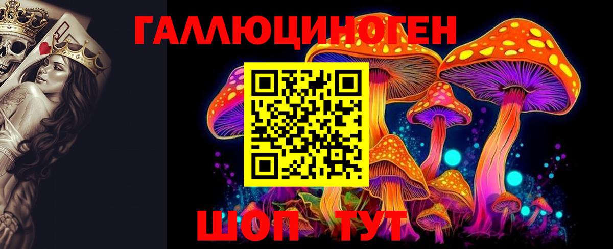 Псилоцибиновые грибы GOLDEN TEACHER Комсомольск-на-Амуре
